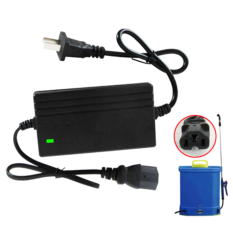 1A Lithium Battery Charger Spa - огляд і ціна Electro Gadgets