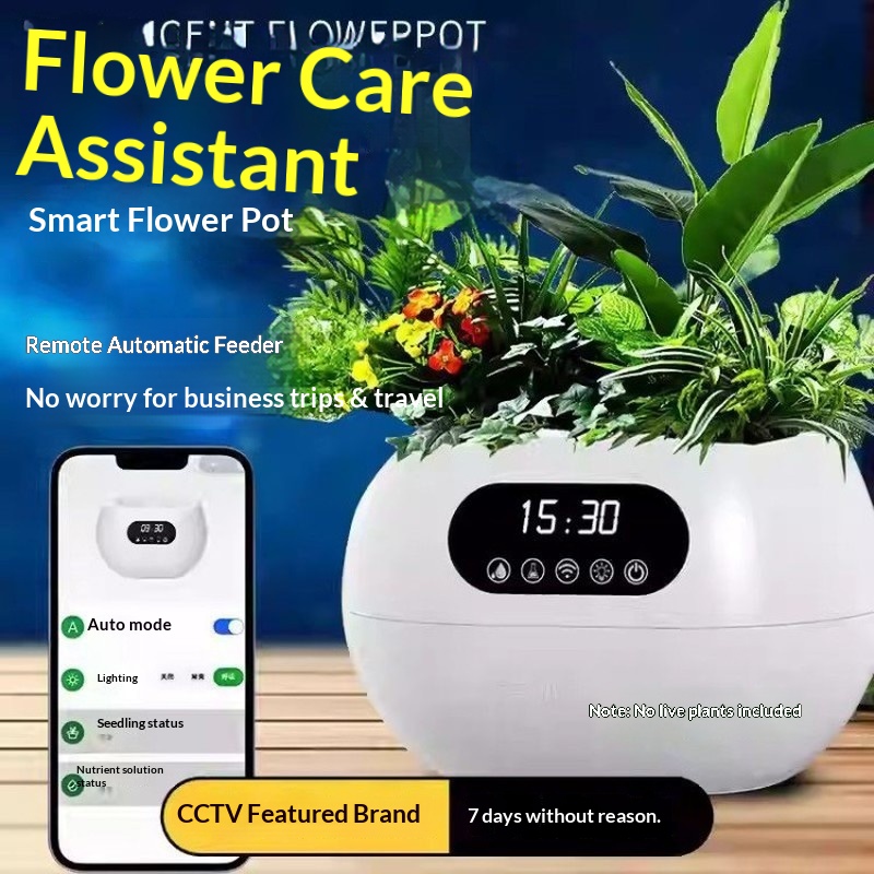 Ai Intelligent Flowerpot Autom - огляд і ціна Electronic Gift